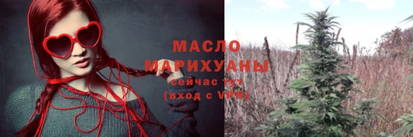 молекула духа Вяземский