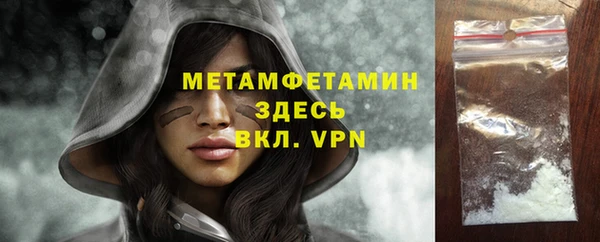 молекула духа Вяземский