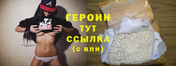 молекула духа Вяземский