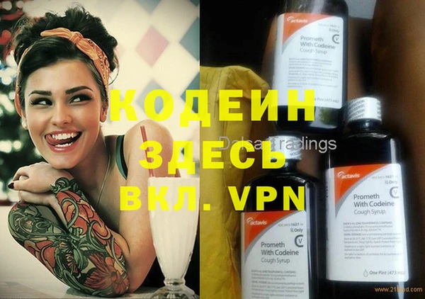 молекула духа Вяземский
