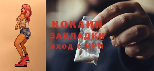 молекула духа Вяземский