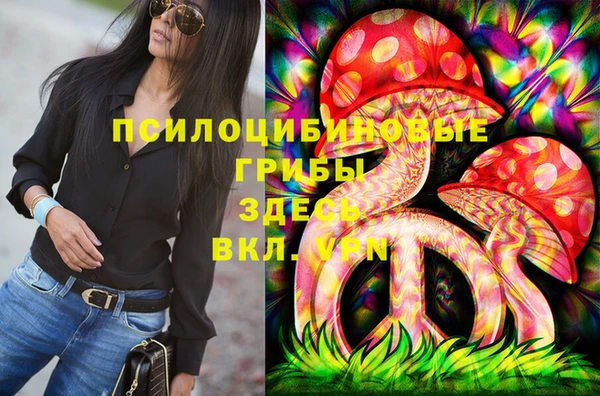 молекула духа Вяземский