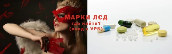 молекула духа Вяземский