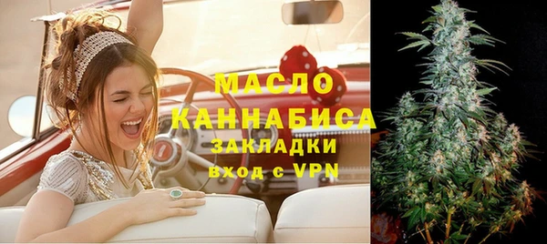 молекула духа Вяземский