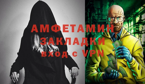 молекула духа Вяземский