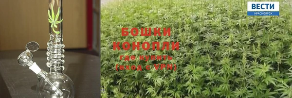 молекула духа Вяземский