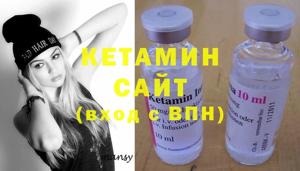 молекула духа Вяземский