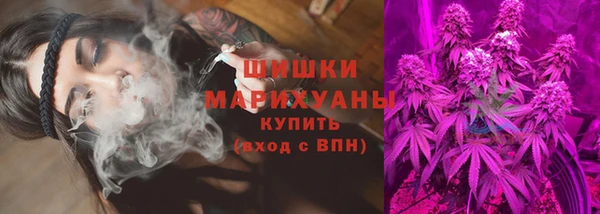 молекула духа Вяземский