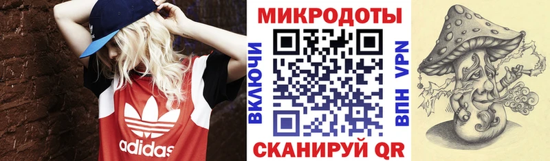 где можно купить   Арзамас  Псилоцибиновые грибы Psilocybine cubensis 