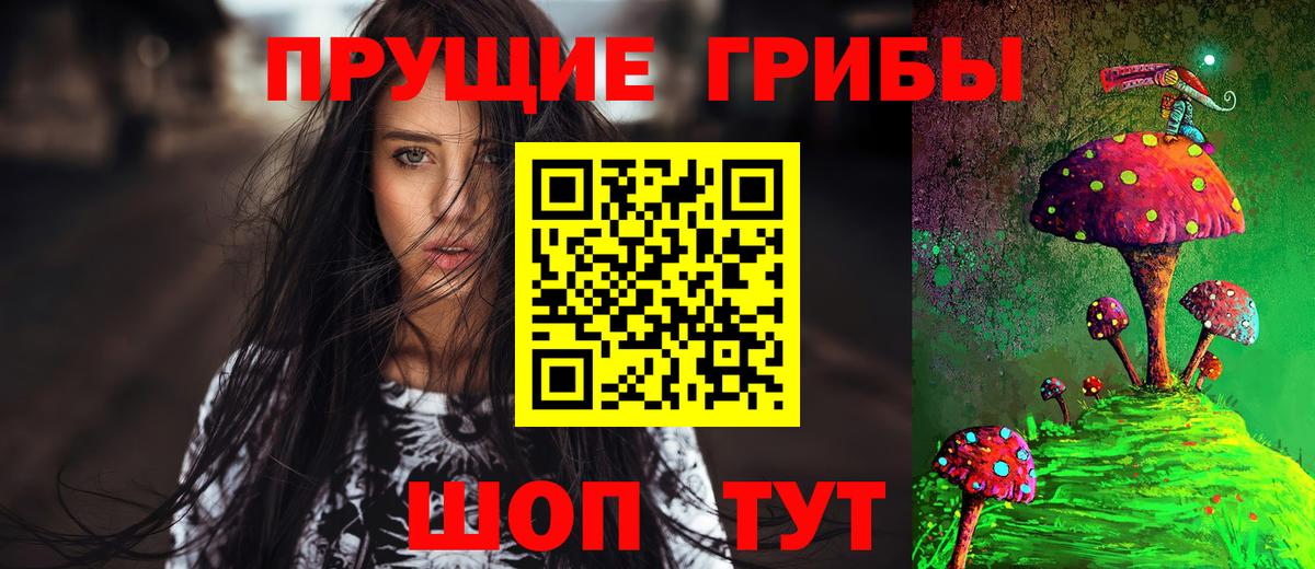 Галлюциногенные грибы Psilocybine cubensis Арзамас