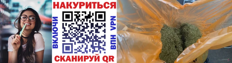 где купить   Арзамас  Конопля сатива 